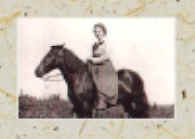 lolabusframed.jpg (12171 bytes)